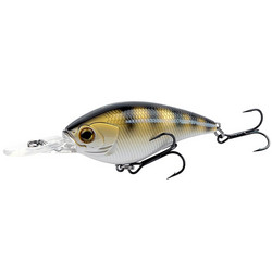 Zander 70mm