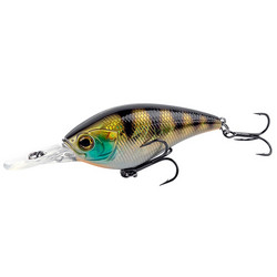 Perch 70mm