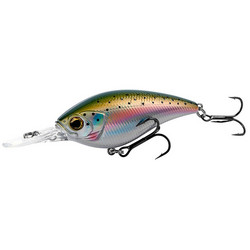 Rainbow Trout 70mm