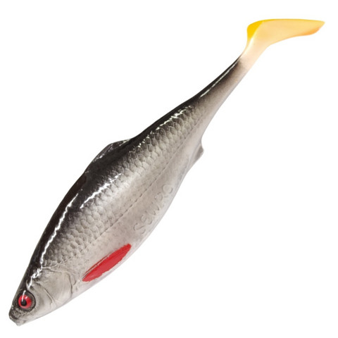 #10 Roach 14cm