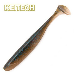 Blue Back Cinnamon 3