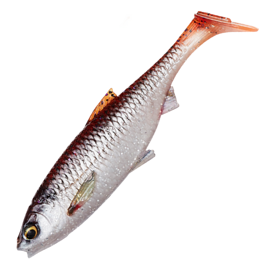 3D River Roach 10cm