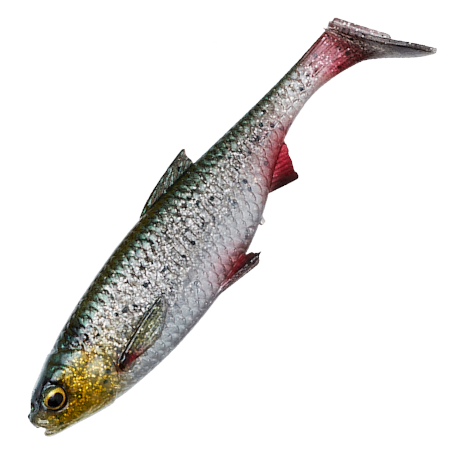 3D River Roach 8cm