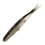 Osmerus 19cm