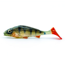 #23 ANGRY Ruffe Red Tail 10cm 1kpl