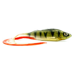 #34 ANGRY Perch G-Tail 15cm 1kpl väri:N