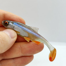 #03 Särki 7,5cm Lapiopyrstö 1kpl