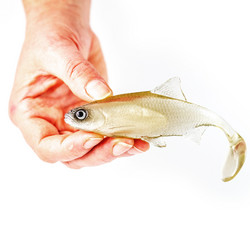 #50 ANGRY Roach 12,5cm 1kpl väri: TW