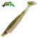 Reed Roach 8,5cm 8kpl
