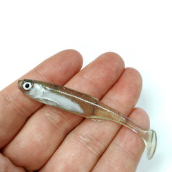 #41 Salakka Lapiopyrstö 7,5cm 1kpl (ZS)