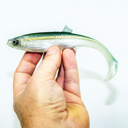 #66 ANGRY Bleak 17cm 1kpl väri:WGY