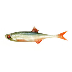 #70 ANGRY Bleak F-Tail 10cm 1kpl väri:NOO