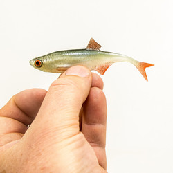 #70 ANGRY Bleak F-Tail 10cm 1kpl väri:NOO
