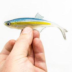 #71 ANGRY Bleak F-Tail 12,5cm 1kpl väri:TBY