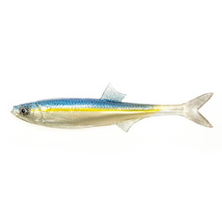 #77 ANGRY Bleak F-Tail 17cm 1kpl väri:TBY